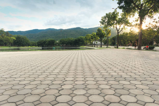 Best Affordable Driveway Paving  in Point Pleasant, WV