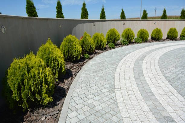 Best Professional Driveway Pavers  in Point Pleasant, WV